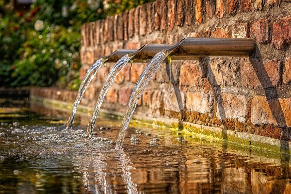 Water Authority