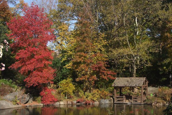 water quality monitoring