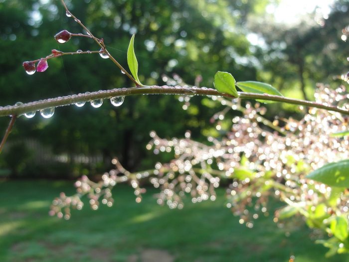 after-rainfall