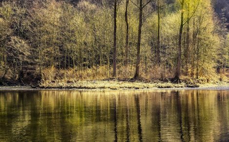 Lake scenery view