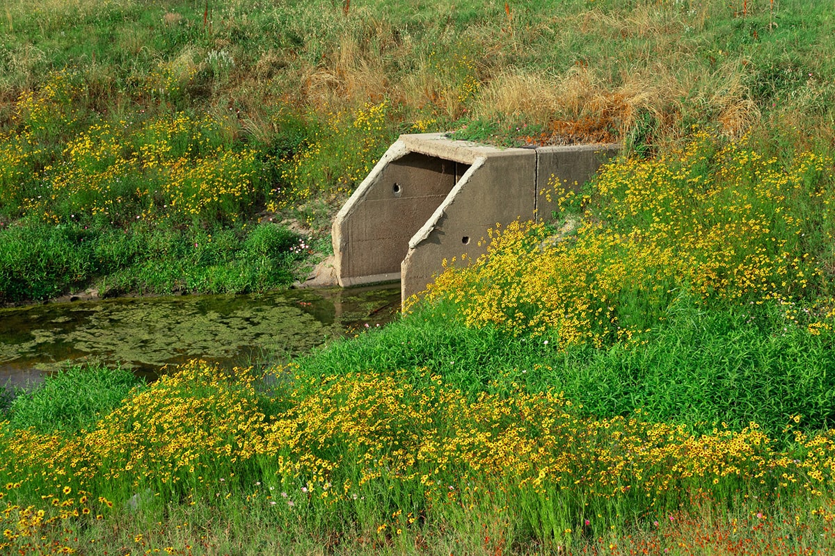 sewage green area