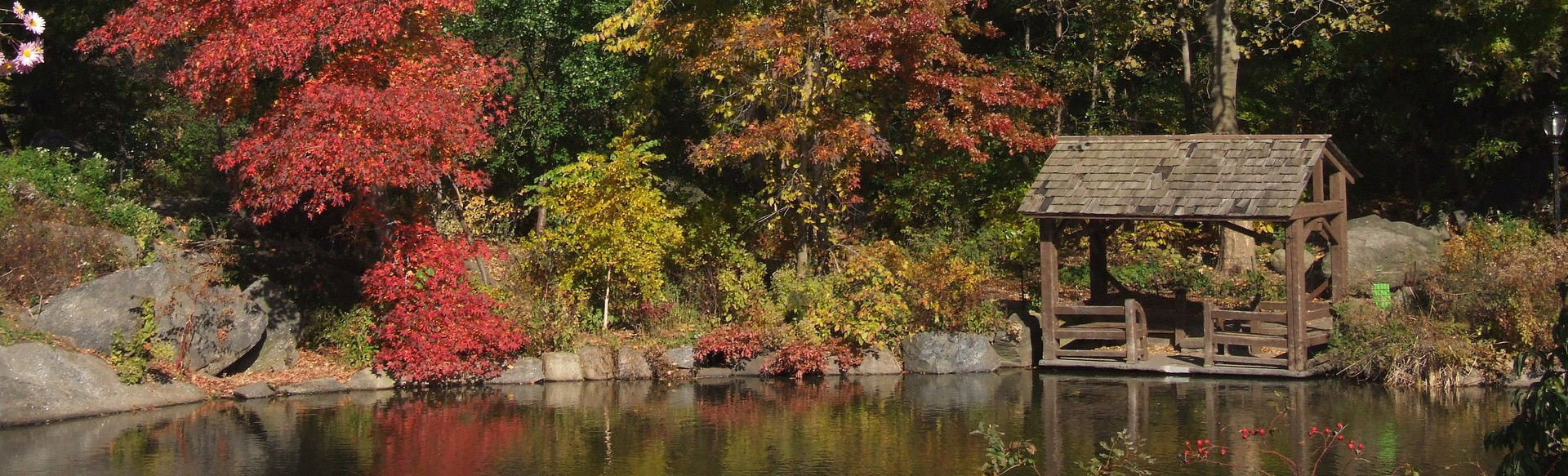 Metasphere Lake scenery